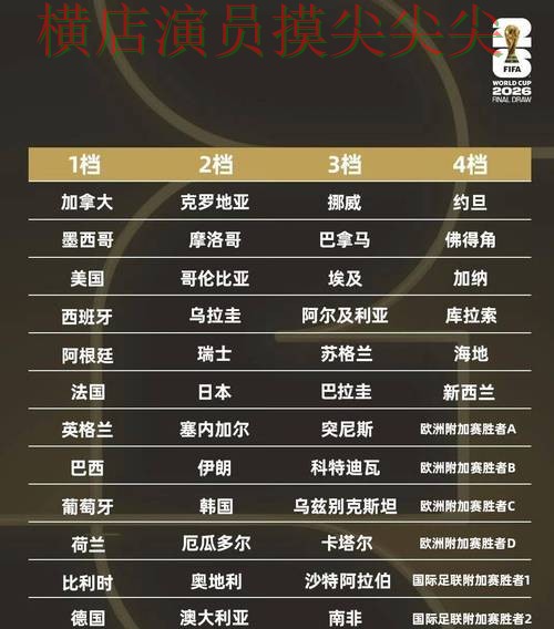 全面分析世界杯投注平台推荐：从稳定性评测到直播观看全流程解析 - 世界杯全球总决赛