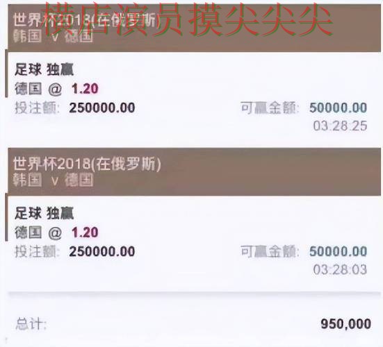 世界杯投注入口整理：平台排行+直播全指南 - 世界杯全球总决赛